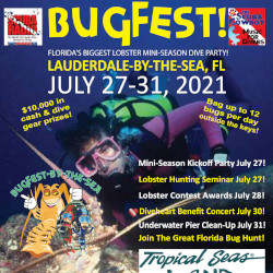 Bugfest 2021