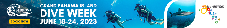 Bahamas Dive Week