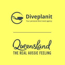 DivePlanIt.com
